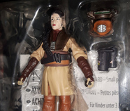 Princess Leia Boussh Disguise Black Series front