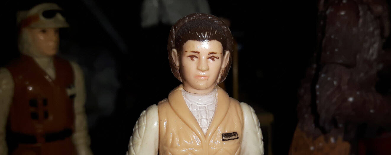 Princess Leia Hoth Outfit Figure Panoramic